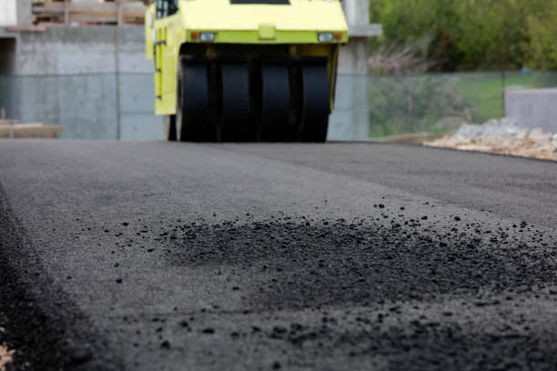 Best Best Driveway Pavers  in Doctor Phillips, FL