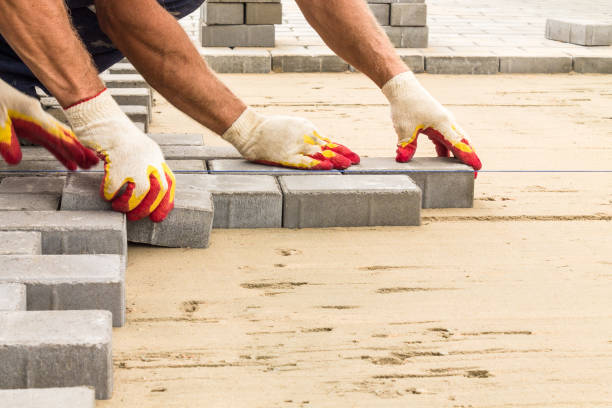 Best Local Driveway Pavers  in Doctor Phillips, FL