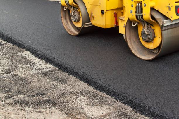Best Concrete Paver Driveway  in Doctor Phillips, FL