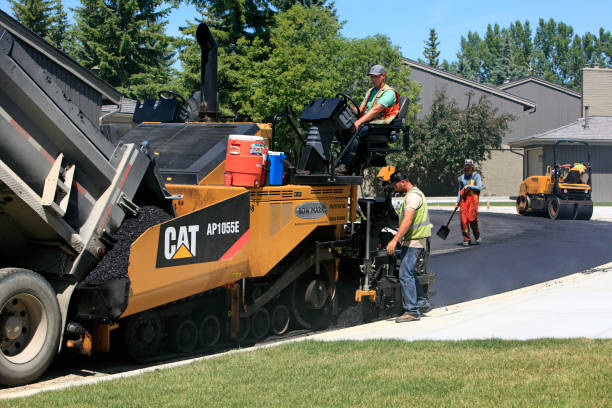Best Interlocking Driveway Pavers  in Doctor Phillips, FL