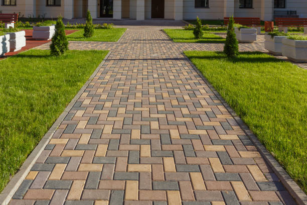 Best Interlocking Driveway Pavers  in Doctor Phillips, FL